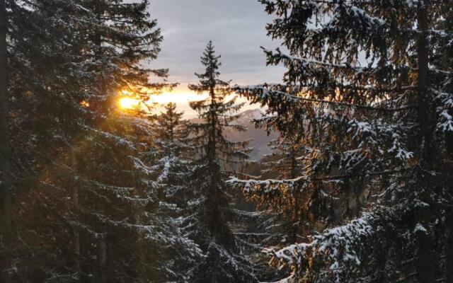Studio Renove Portes du Soleil Chatel Abondance
