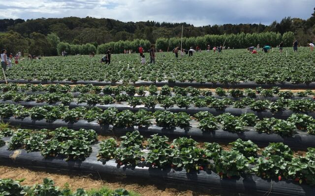 Aquawaters house by Barefoot Beach stays