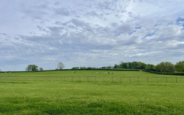War Horse Valley Orchard View