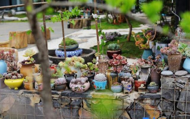 Yewang Su Lake View Light Luxury Hostel