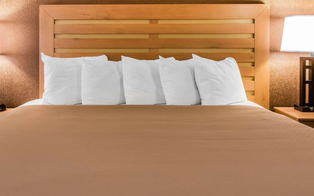 Quality Inn & Suites Warren - Detroit