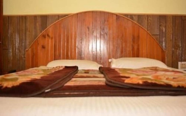 Hotel Tashila - Manali