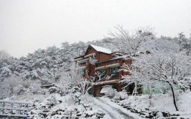 Jecheon Sineka Green Plant Pension