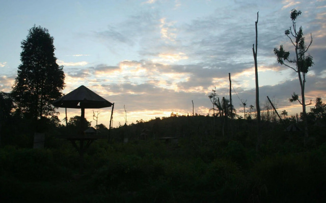 Samboja Lodge
