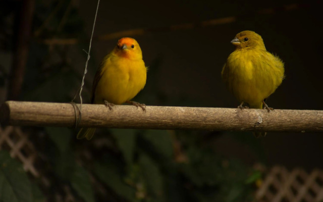Pousada Locanda Belvedere