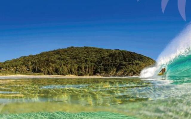 Picture perfect Lizzie Palms 2