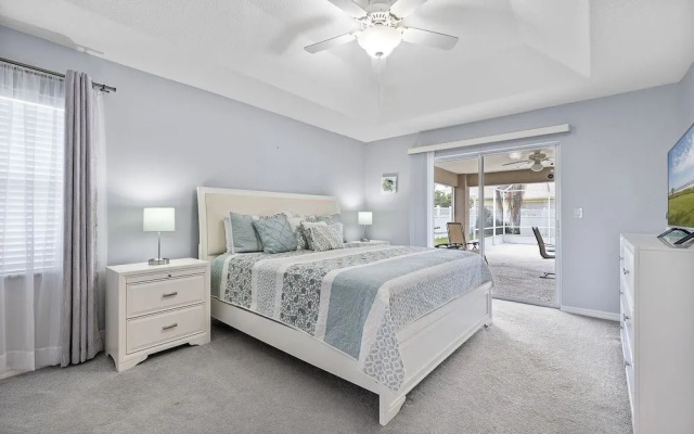Coquina Dreams
