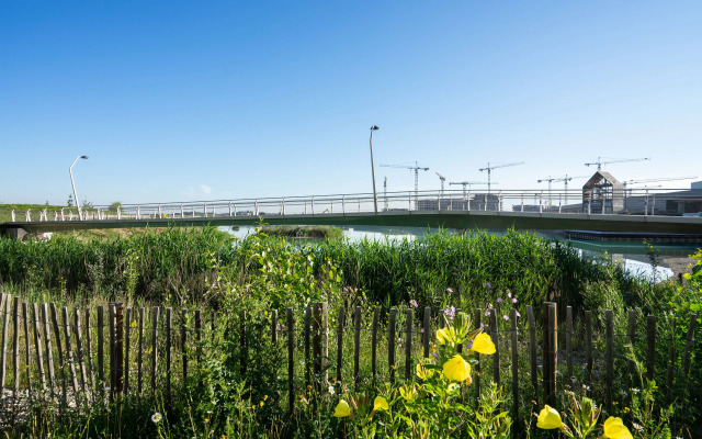 FeelGood Apartments Green Living