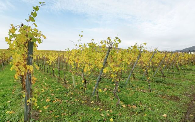 Haus Barbel (Adults Only)