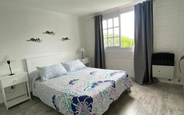 Departamento Estudio Constitución