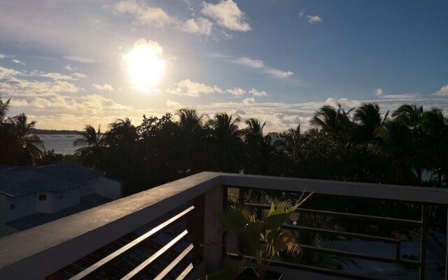 White Coral Rasdhoo