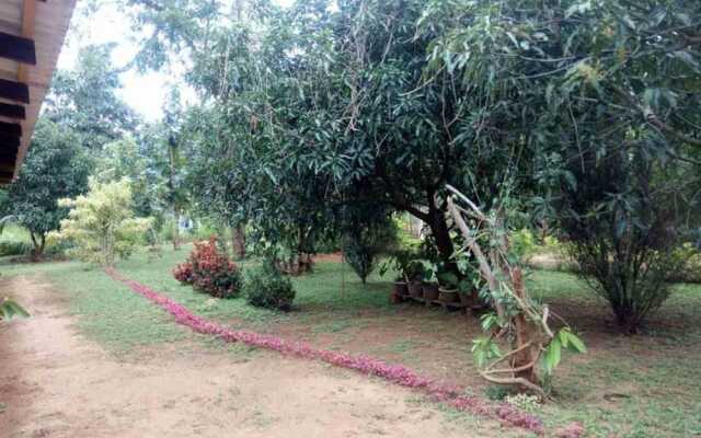 Yoho Mango Tree Home Stay & Hostel