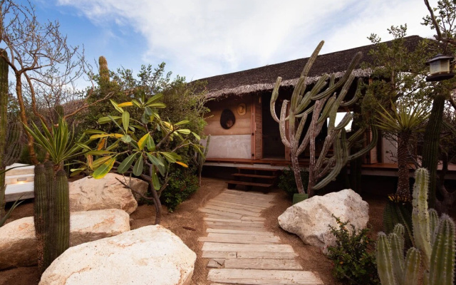 El Perdido Desert Dream - Todos Santos Adults Only