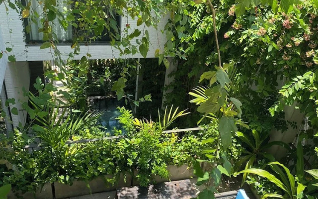 Thang House - Close To Nature