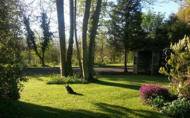 Folly Studio Bed & Breakfast