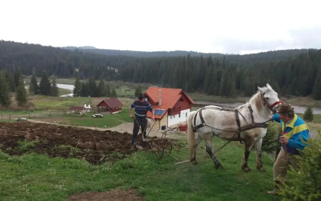 Pensiunea Agroturistica Alexandra