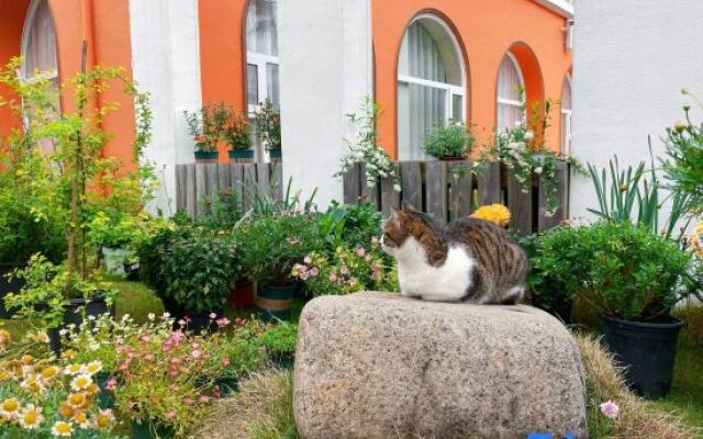 Xianju Yundandan Tianlanlan Homestay