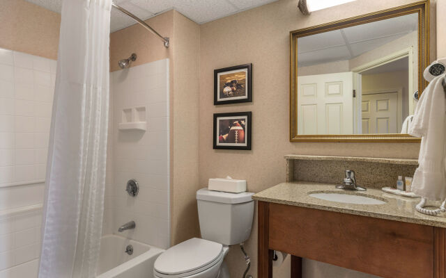 Comfort Inn & Suites Sturbridge - Brimfield