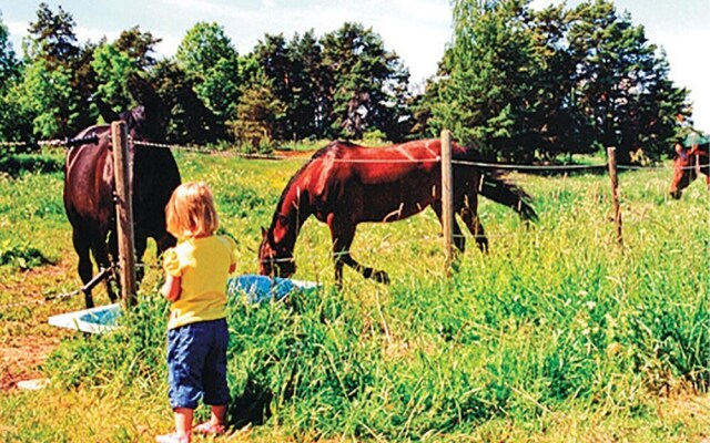 Amazing Home in Eskilstuna With 1 Bedrooms, Sauna and Wifi