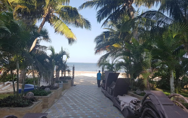 Modern Beachfront Studio Apartment B44