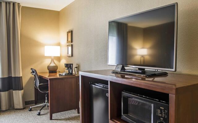 Comfort Inn Edinburg South