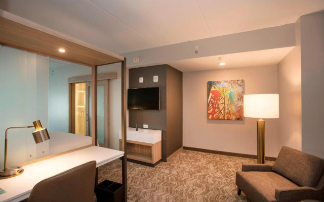 SpringHill Suites by Marriott Athens Downtown/University Area