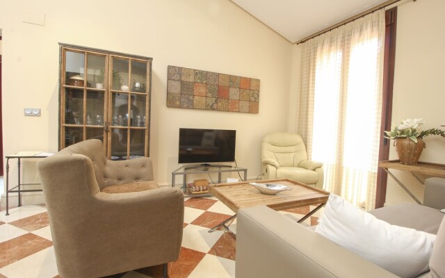 Deluxe apartment plaza de la encarnacion