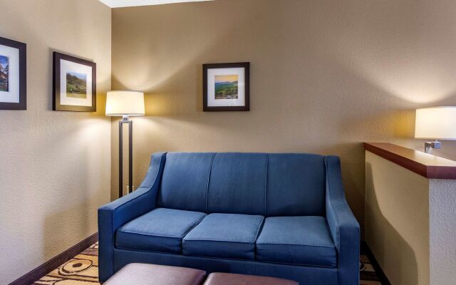 Comfort Inn & Suites Staunton