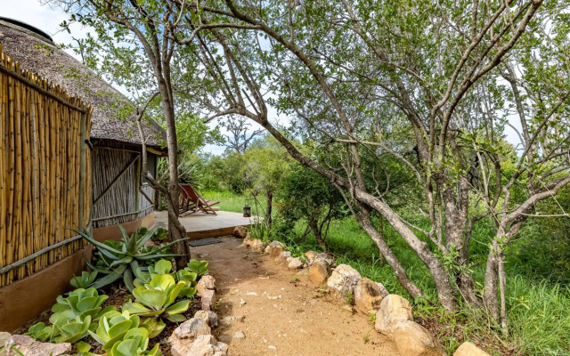 Umlani Bushcamp - Lodge