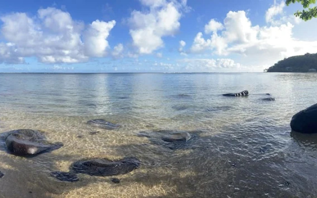 Puamana 21a 2 Bedroom Condo by Redawning