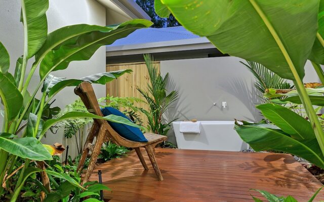 Lilypad at Palm Cove