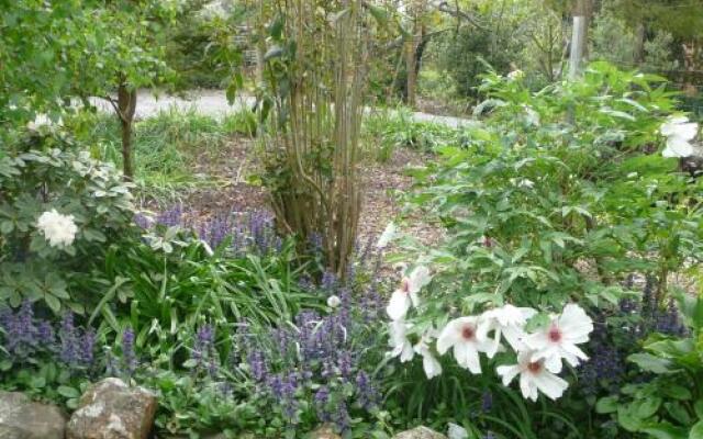 Wisteria Lodge Bed and Breakfast