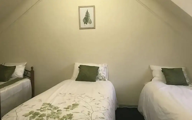 Barrington Wilderness Cedar Lodge Accommodation