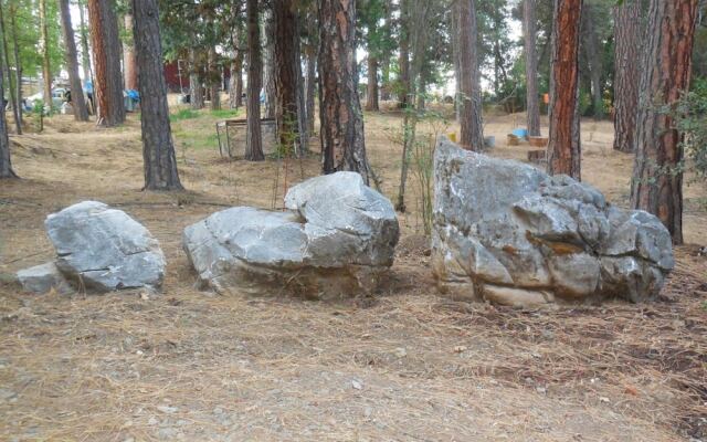 Yosemite Paradise Inn
