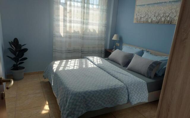 Ulmus Suite