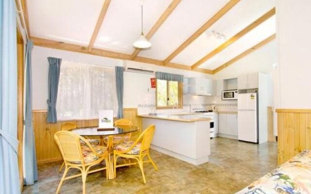 Gateway Lifestyle Lorikeet