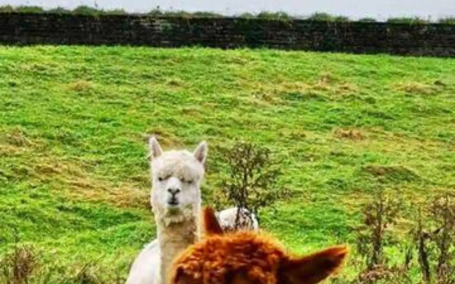 Westminster Mountain View Manor Main House