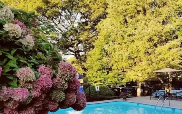 Starlight Lodge Cape Cod