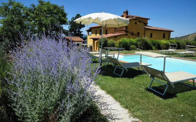 Il Bellini - Tuscany Farmholiday