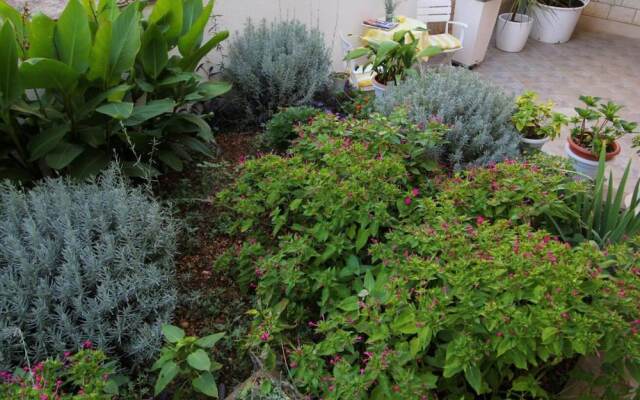 Angel - Nice Garden - SA