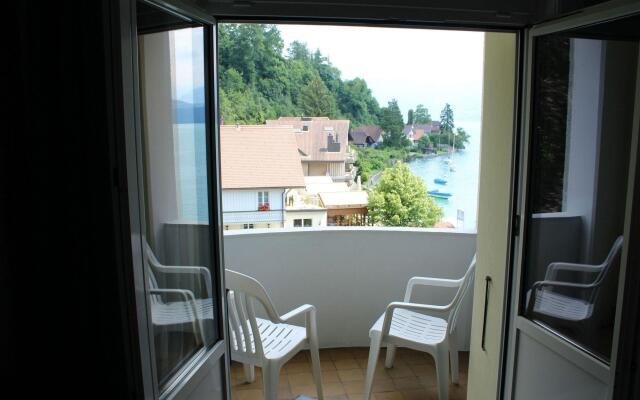 Hotel Restaurant Bellevue au Lac
