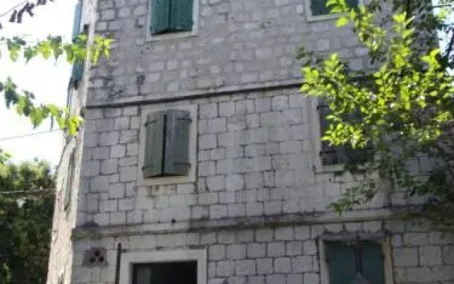 Happy Jackdaw Apartment