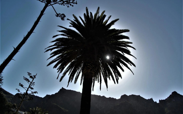 Paula Pool Apartment Adeje