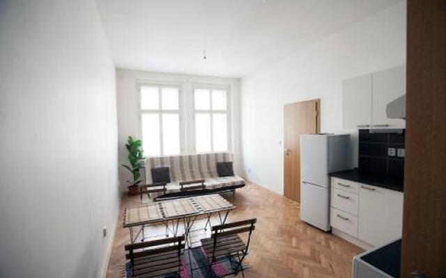 Comfortable Apartment Vlkova