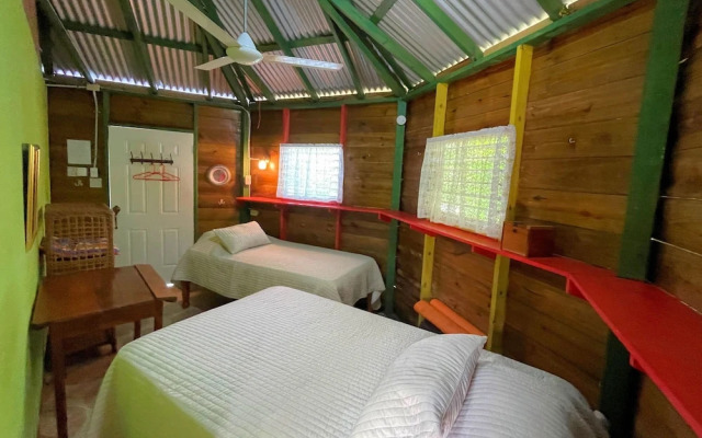 Judy House - Lewi's Backpacker Hostel