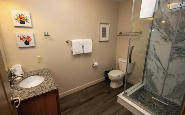 Mountain View Condo 1501