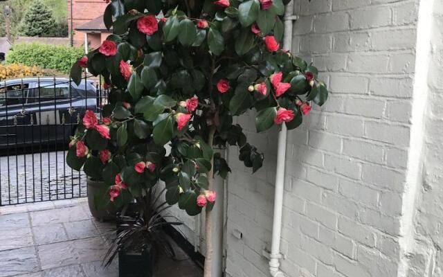 Clayhanger Guest House