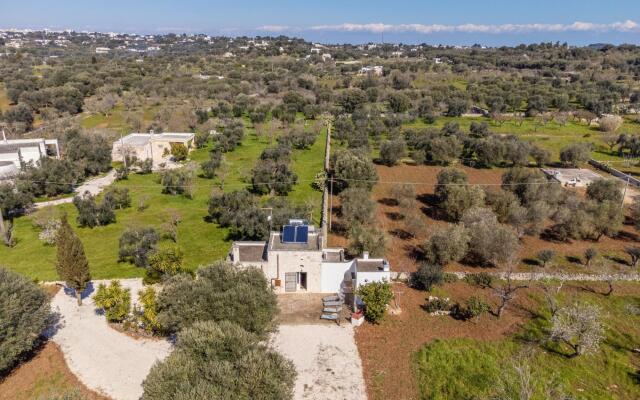 Country House among the olive trees