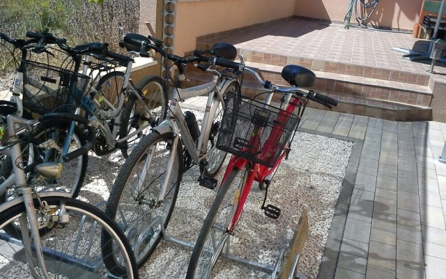 Antonija - Fitness - A4