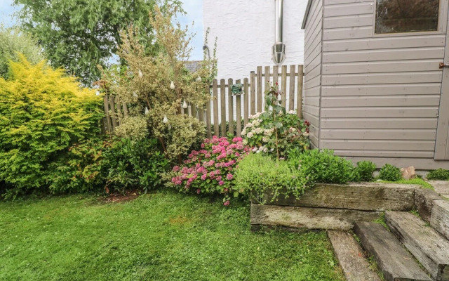 Astrantia Cottage